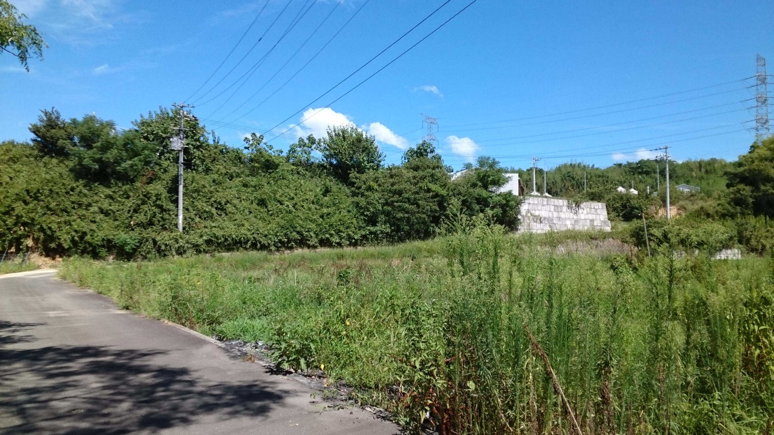 Blog Image